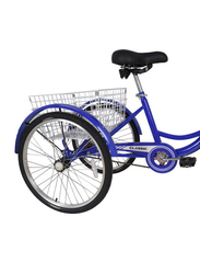 Classic Tricycle with Basket, 24 Inch, Medium, Blue