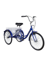 Classic Tricycle with Basket, 24 Inch, Medium, Blue