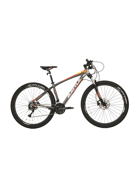 Battle Exceed Mountain Bicycle, 29 Inch, Large, Grey