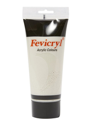 Fevicryl Acrylic Paint Color, 200ml, Silver