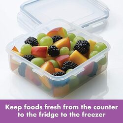 Locknlock Hpl823 Food Container, Clear, 870 Ml, Square, Plastic