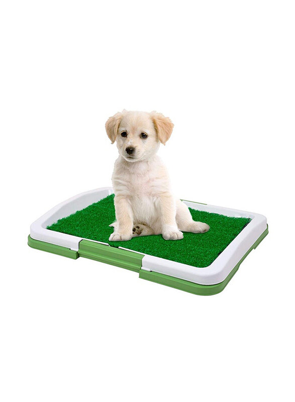 

Generic Puppy Potty Trainer, Green/White