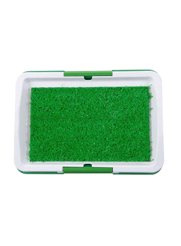 

Generic Potty Training Pad, Green/White