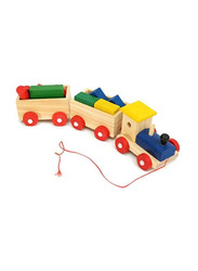 Train Stacking Sorting Building Blocks, Ages 1+, Multicolour