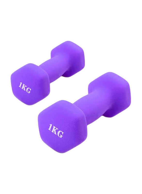 

Generic Hexagonal Dumbbell, 2 x 1 KG, Purple