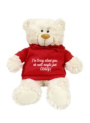 Caravaan Teddy Bear, with Trendy Red Hoodie, I'm Crazy About You, Ok Well Maybe Just Crazy!, 38cm, Ages 3+