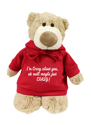 Caravaan Mascot Bear, with Trendy Red Hoodie, I'm Crazy About You, Ok Well Maybe Just Crazy!, 28cm, Ages 3+