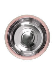 Royalford 2500ml Cosmos Insulated Casserole Stainless Steel Hot Pot with Lids, RF9729, Pink