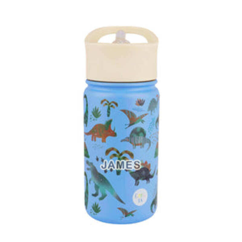 

Little Ia Little AI Dinosaur Insulated Water Bottle, 420 ML