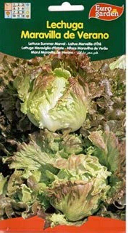 

Euro Garden Lettuce