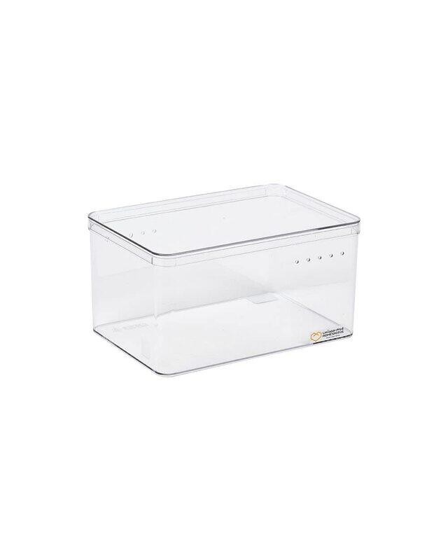 

Homesmiths Shoe Box for High Heel Shoes, 28 x 19.2 x 14.9 cm, Clear