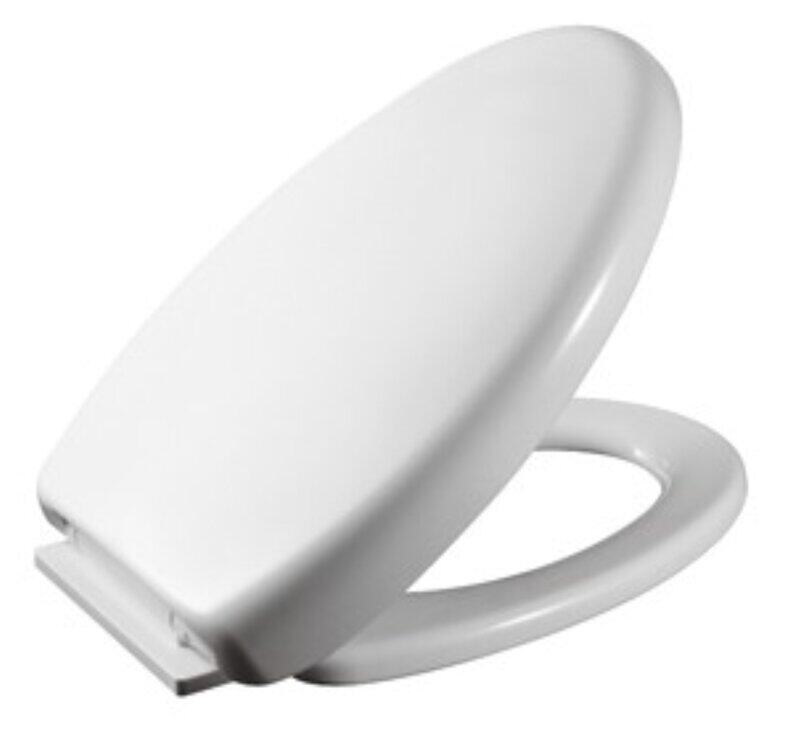 

Bold D-Shape Toilet Seat and Cover, White