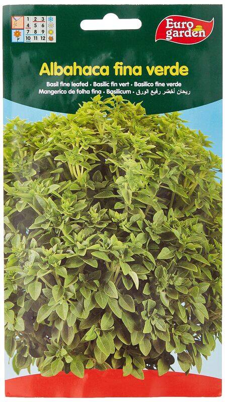 

Euro Garden Basil Fine Leafed Seeds, 3g
