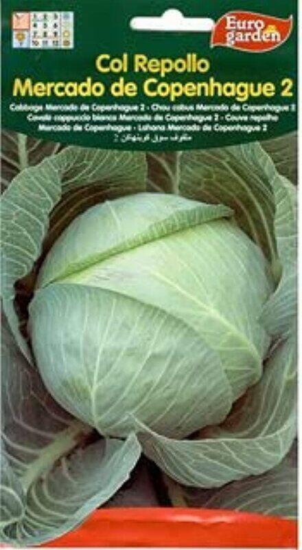 

Euro Garden Cabbage