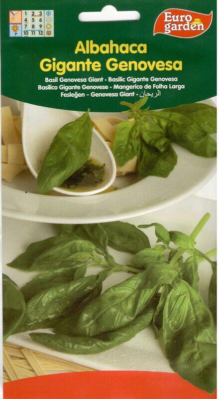 

Euro Garden Basil Genovesa Giant