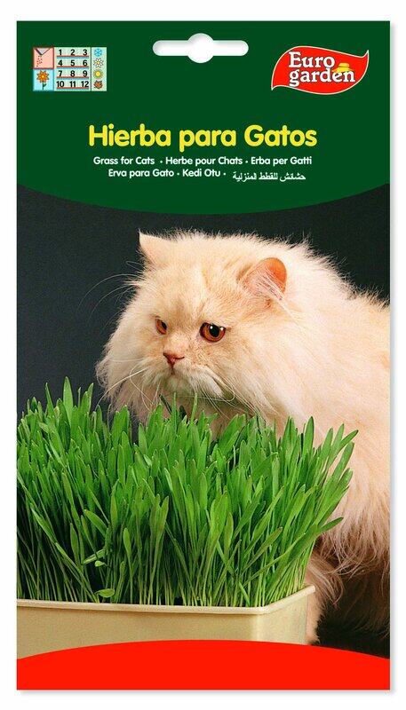 

Euro Garden Cat Grass Seeds, 15g