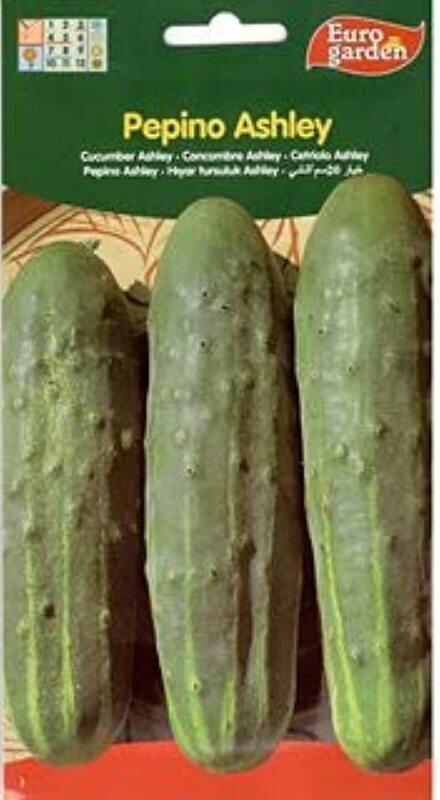 

Euro Garden Cucumber Ashley