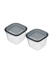 Inomata Hokan-sho Plastic Square Deep Food Container, 2 x 430ml, Clear