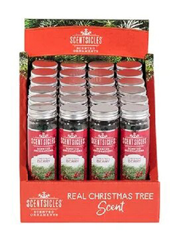 

Premier Christmas Berry Scentsicles, Assorted