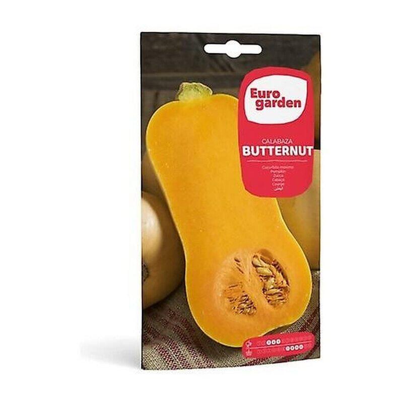 

Euro Garden Pumpkin Butternut Seeds, 10g