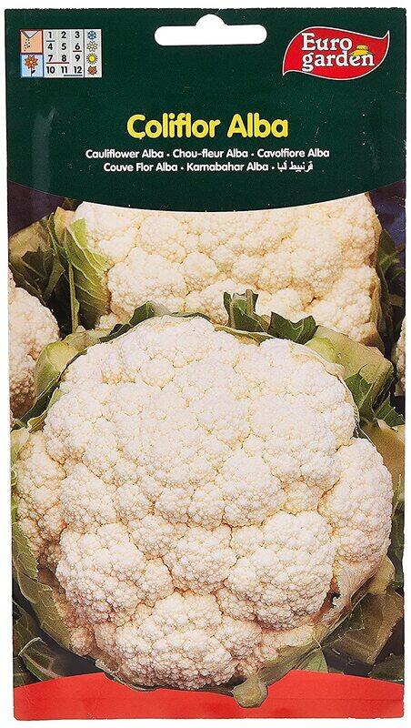 

Euro Garden Cauliflower Seeds, 3g