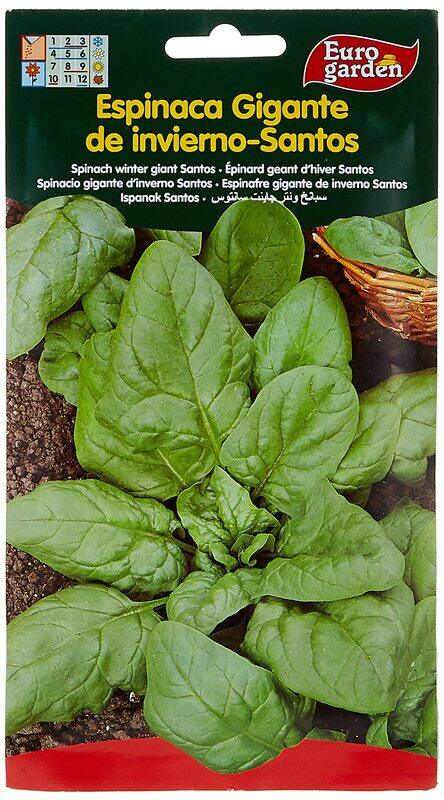 

Euro Garden Spinach Seeds, 15g