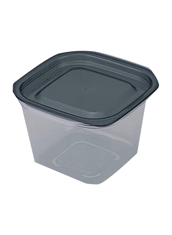 Inomata Hokan-sho Plastic Square Deep Food Container, 2 x 430ml, Clear