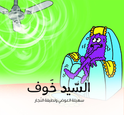 Mr. Fear, Paperback Book, By: Dr. Suhaila Alawadi & Dr. Larifa Alnajar