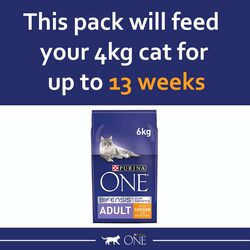 Purina ONE Adult Dry Cat Food Rich In Chicken & Whole Grain - 6Kg