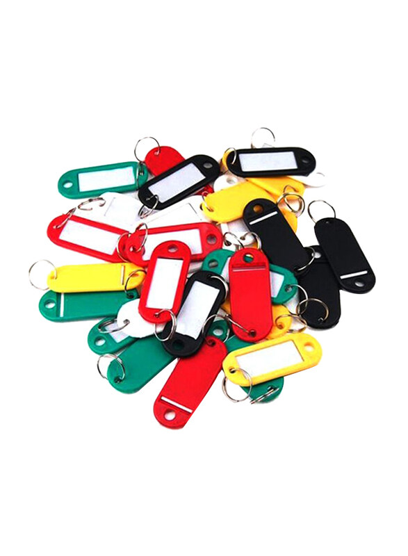 

Modest 100-Piece Plastic Key Chains, Multicolour
