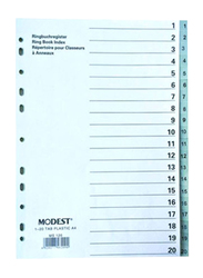 Modest PVC 1-20 Divider File Folder, Grey