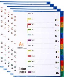 Daily Needs A4 File Dividers 12 Part Index Jan-Dec, 5 Pieces, Multicolour