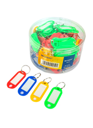 Modest 100-Piece Plastic Key Chains, Multicolour