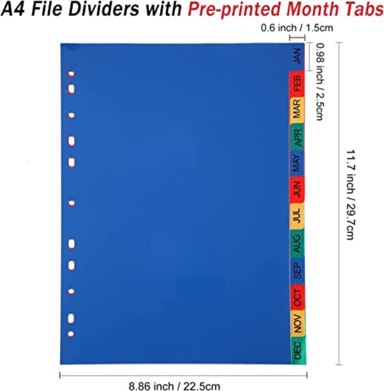 Daily Needs A4 File Dividers 12 Part Index Jan-Dec, 5 Pieces, Multicolour