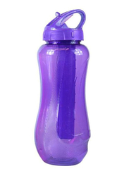 Cool Gear 650ml Horizon Water Bottle, Purple