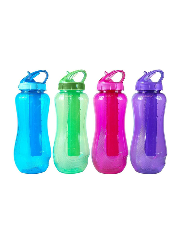 Cool Gear 650ml Horizon Water Bottle, Purple