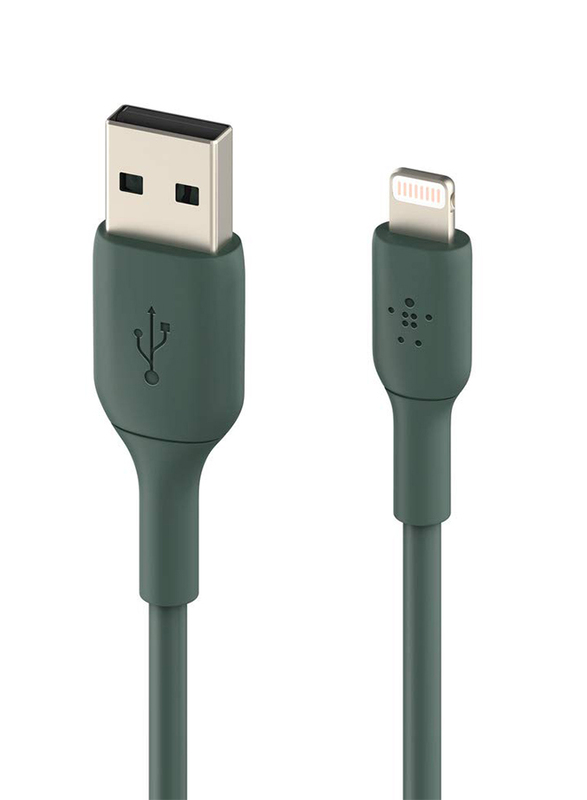 Belkin 1-Meter PVC A-lTG Lightning Cable, USB Type-C to Lightning for Mobile phones, Green