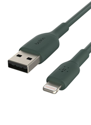 Belkin 1-Meter PVC A-lTG Lightning Cable, USB Type-C to Lightning for Mobile phones, Green