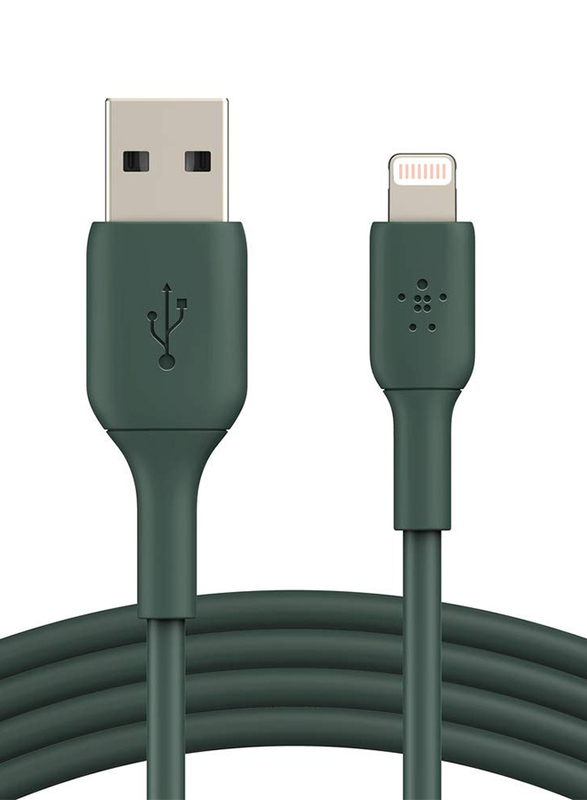 Belkin 1-Meter PVC A-lTG Lightning Cable, USB Type-C to Lightning for Mobile phones, Green