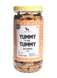 HUFT YIMT Chicken & Cheese Biscuits Dry Food for Dog, 800g