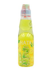 Hata Kosen Bottle Ramune Yuzu Taste, 200ml