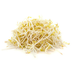 Beans Sprout, 1kg