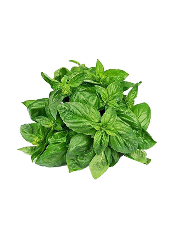 

Madhoor Basil Leaves 500gm