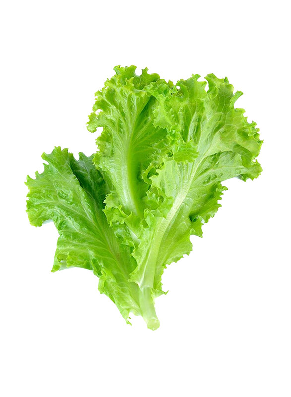 

Madhoor Lettuce Leaves, 1kg