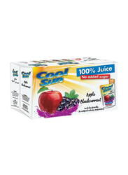 Cool Sun Apple Blackcurrant Juice, 10 x 200ml