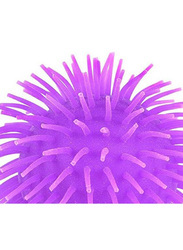 Rhode Island Novelty Puffer Ball, 12 Pieces,