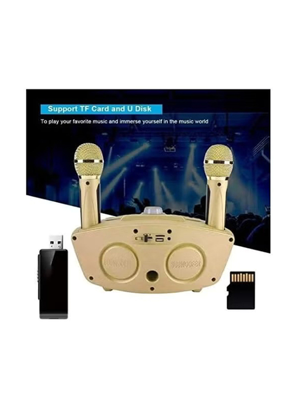 SDRD Dual Wireless Karaoke and Mixer System Upgraded Version Dual Channel Handheld Microphone, Gold
