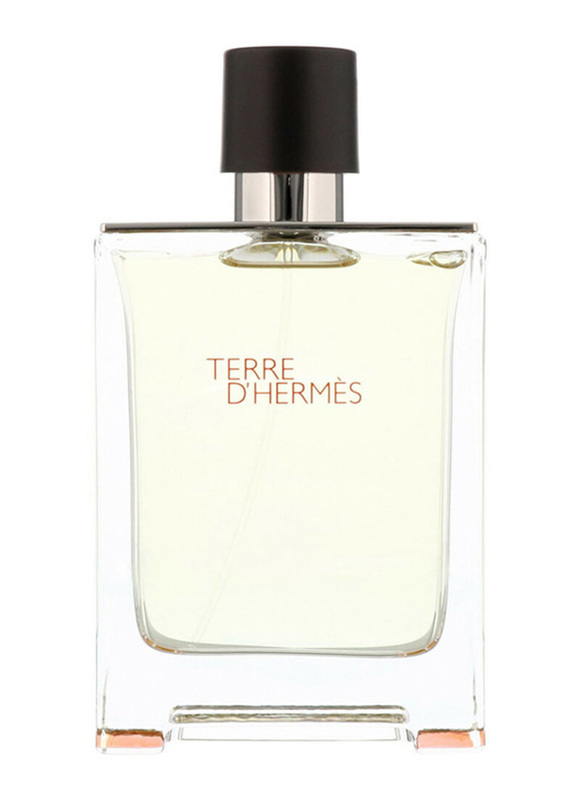 Hermes Terre D'Hermes 100ml EDT for Men