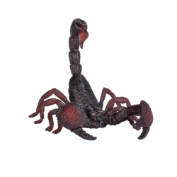 Emperor Scorpion