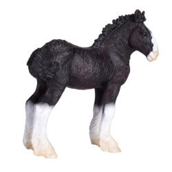 Shire Foal